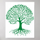 Suche nach immergrün poster Kiefer