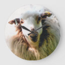 Suche nach cute sheep kunst Jede person