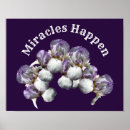 Suche nach miracle poster Zitat
