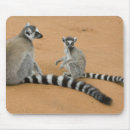 Suche nach lemuren mousepads Gefährdet