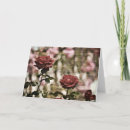 Suche nach garten rosen karten Antike