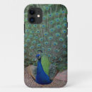 Suche nach pfau fall iphone hüllen Jede person