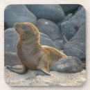 Suche nach ecuador untersetzer Galapagos