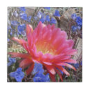 Suche nach kaktus fliesen Für sie