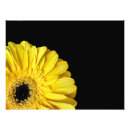 Suche nach gerbera blume poster Orange