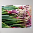 Suche nach knoblauch poster Gemüse