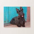 Suche nach scottish terrier puzzle Hund
