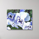 Suche nach stiefmütterchen leinwandbilder Panik