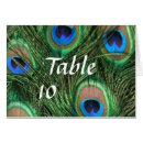 Suche nach vögel tischkarten Pfau