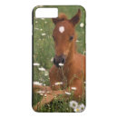 Suche nach arabische iphone hüllen Arabisches pferd