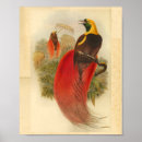 Suche nach gelber vogel poster Grün