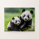 Suche nach weißer und schwarzer bär puzzle Bären
