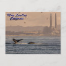 Suche nach power pflanze postkarten Foto