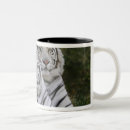 Suche nach bengals tassen Katze