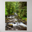 Suche nach collins poster Wald