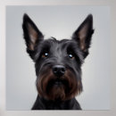 Suche nach scottish terrier poster Lustig