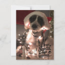 Suche nach die ich erklären kann postkarten Lieber santa i erklären