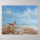 Suche nach antilope poster Pronghorn