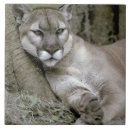 Suche nach puma untersetzer Panther