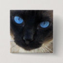 Suche nach siamesisch buttons Blau