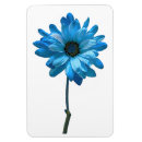 Suche nach pochen magnete Blau