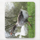 Suche nach wiesen mousepads Natur