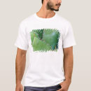 Suche nach wüste tshirts Sukkulente