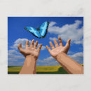 Suche nach schmetterlingsfliegen postkarten Unabhängigkeit
