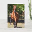 Suche nach tekst karten Bob sprache