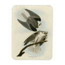 Suche nach winged magnete Bild