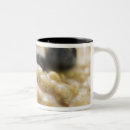 Suche nach voller rahmen tassen Nahrung und getränk