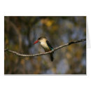 Suche nach mit kapuze postkarten Vögel