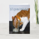 Suche nach zunge karten Kitty