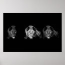 Suche nach wilde katze poster Wildtiere