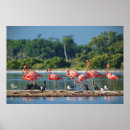 Suche nach yucatan poster Im freien