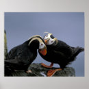 Suche nach habitat poster Bird