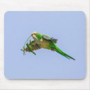 Suche nach parakeet mousepads Natur