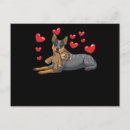 Suche nach australische hunde postkarten Hundebesitzer