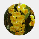 Suche nach orchideen blume ornamente Für alle