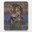 Suche nach indien mousepads Tiger