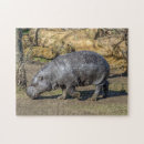 Suche nach flusspferd puzzle Zoo