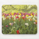 Suche nach tulpen mousepads Frühlingsblumen