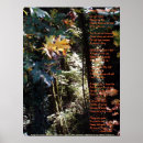 Suche nach selbstachtung poster Gedichte