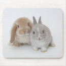 Suche nach zwergen mousepads Kaninchen