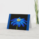 Suche nach beauty karten Blumenreich