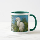 Suche nach egretta Natur