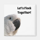 Suche nach flocken magnete Für alle
