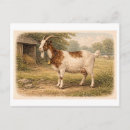 Suche nach vintage zeichnungen postkarten Illustration