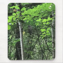 Suche nach eule im baum mousepads Bäume