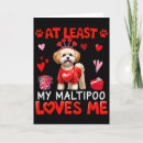 Suche nach maltipoo karten Liebe